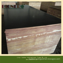 Top Quality Film Faced Plywood for Dubai UAE Market